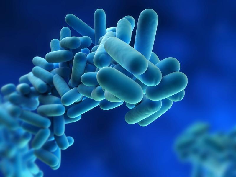 What is a Legionella Preventive Maintenance Plan and how may this pertain to your facility?