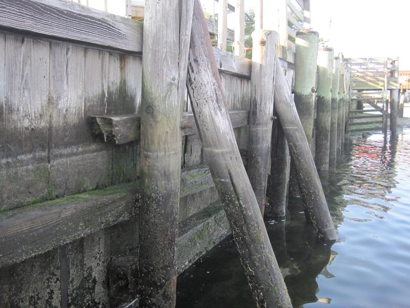 Waterfront Protection Structures – How to Safeguard Your Property and the Environment