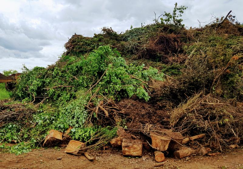 Do You Have a Land Clearing Debris or Composting Facility?