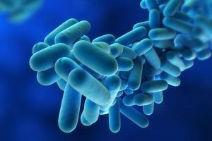 Legionella Prevention: Cleaning/Disinfection, Inspection, and Sampling for Cooling Units