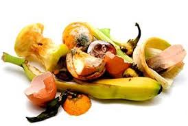 Will NY’s Food Donation and Food Scraps Recycling Law Affect You?