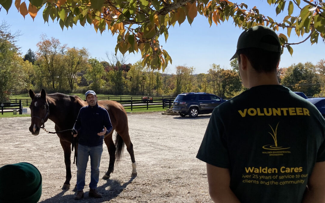 Walden Day North at Pegasus Therapeutic Riding