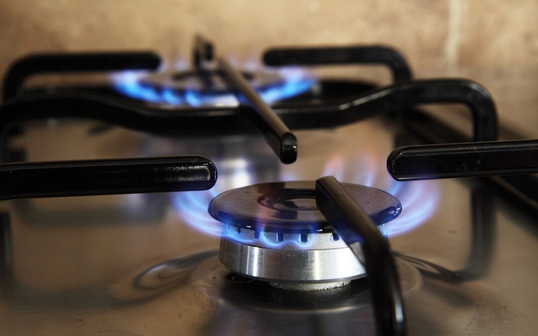 New York State Begins Ban on Natural Gas