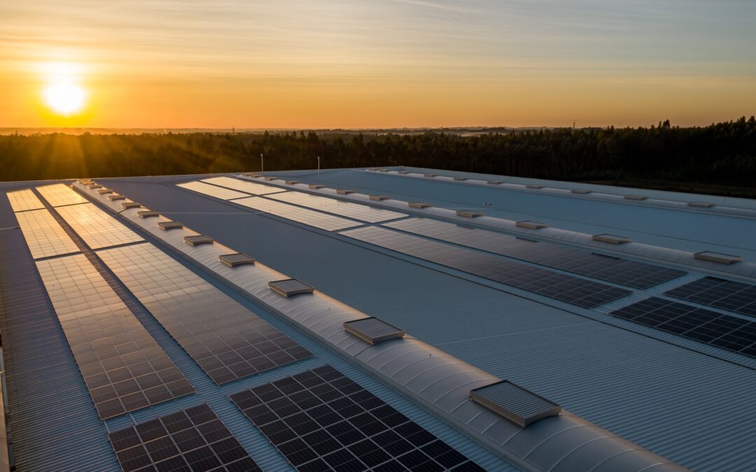 Your Guide to Creating Sustainable Operations, Part Three: Solar Panel Arrays