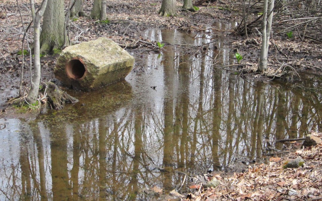 Walden’s Guide to Stormwater Management