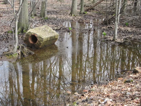 Walden’s Guide to Stormwater Management