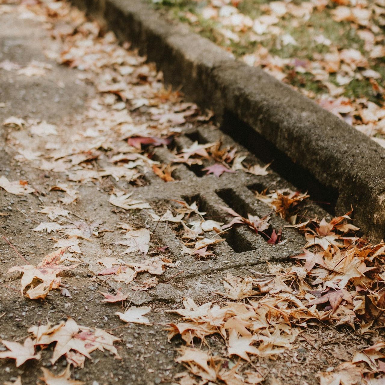 machine guarding, machine guard, manufacturing, machinery, EHS, EH&S, worker safety