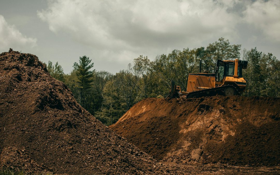 An Introduction to Environmental Data Management Systems