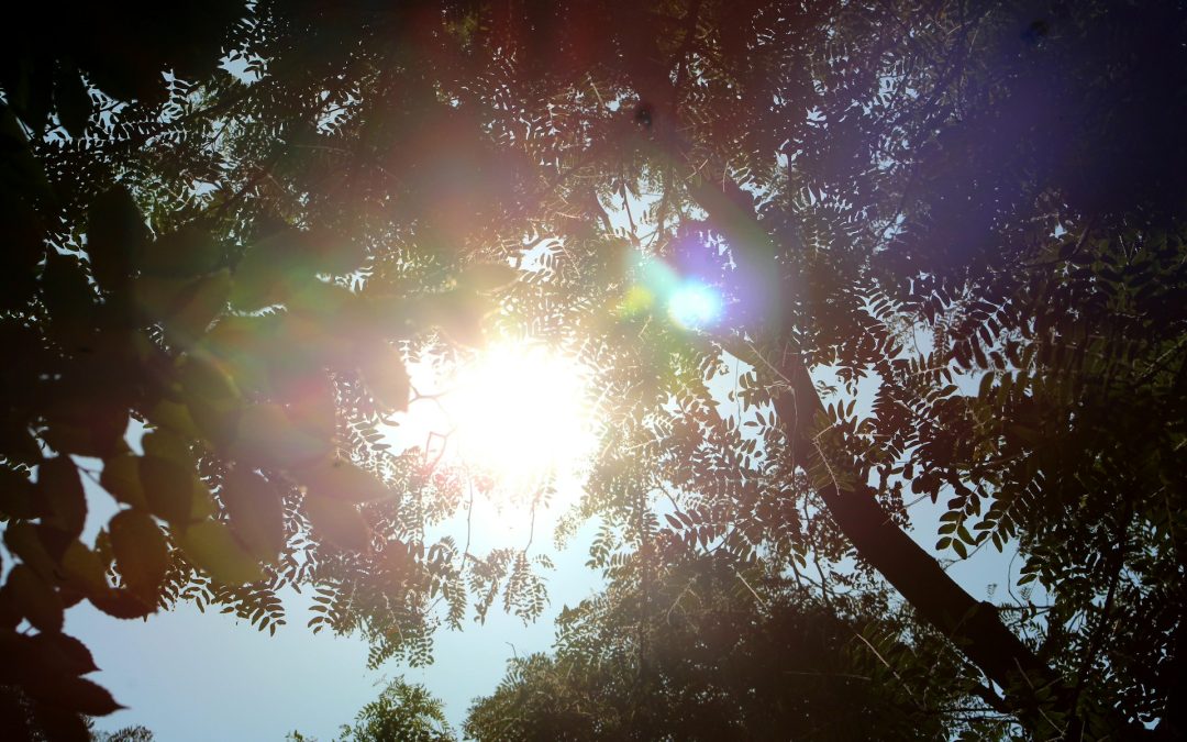 What You Need to Know About OSHA’s Proposed Heat Rule