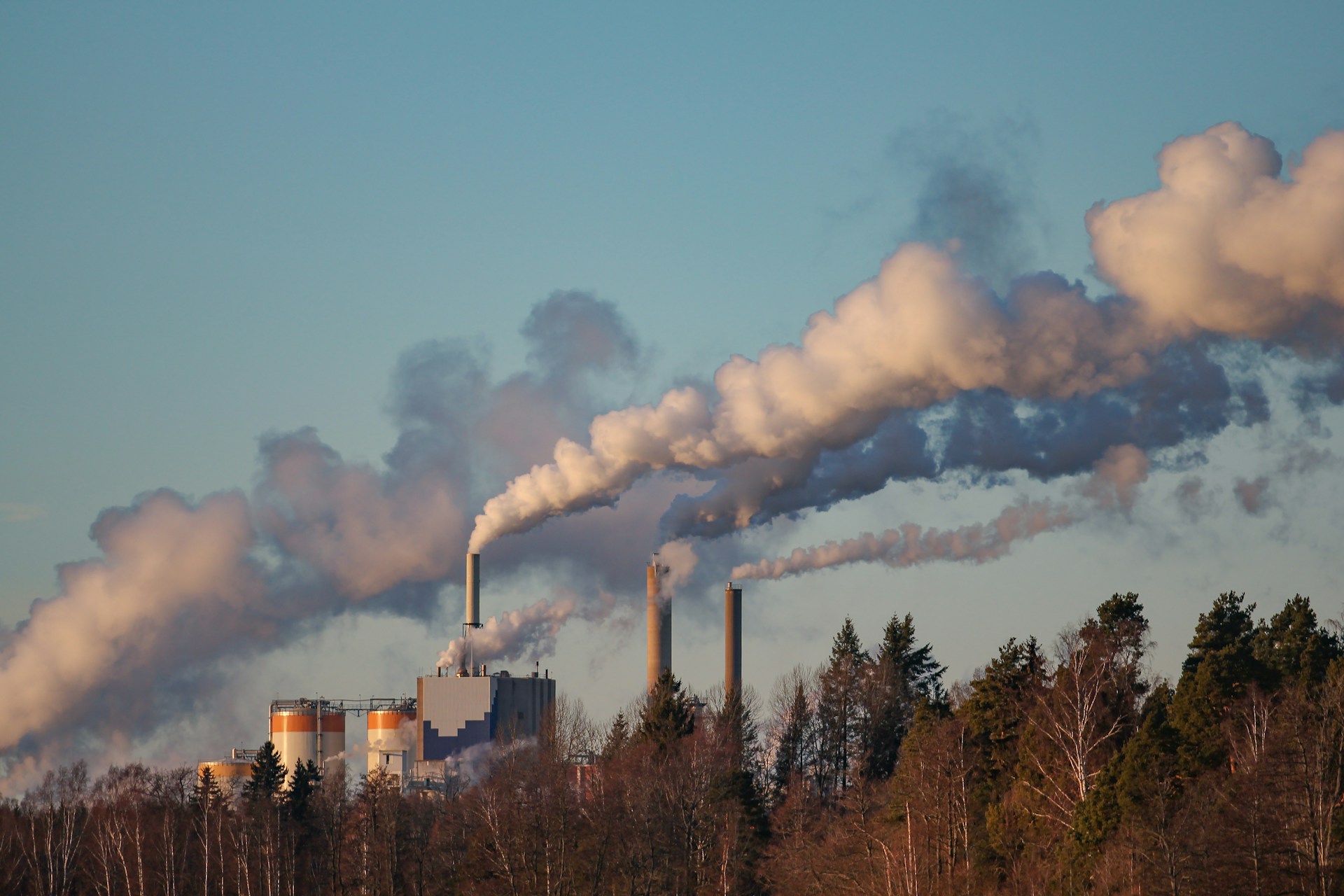 Smoke coming out of chimneys from a factory located in the distance, behind a line of trees.