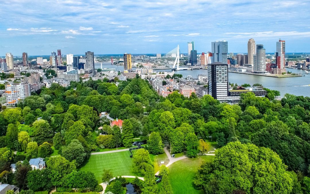 CT’s New Release-Based Cleanup Regulations