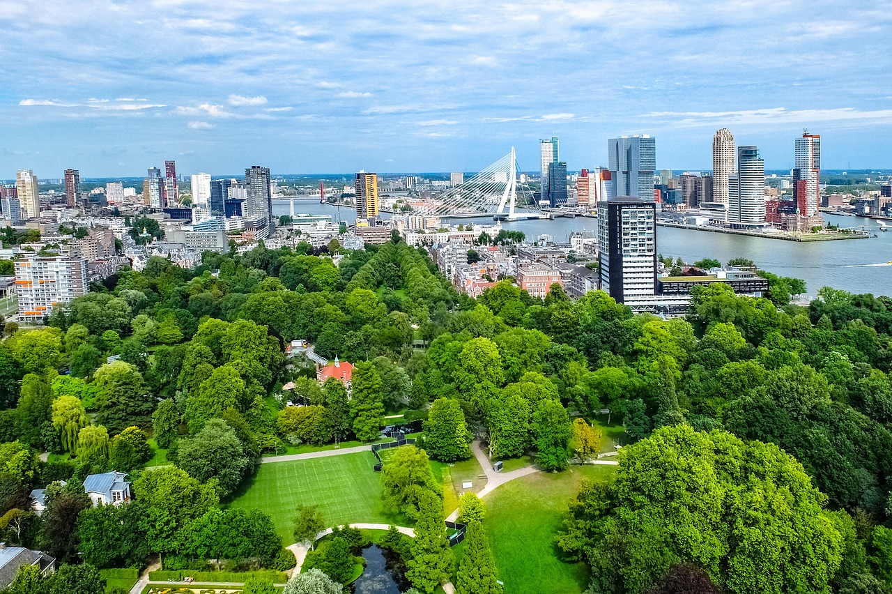 A green tree-filled park with a city in the background.