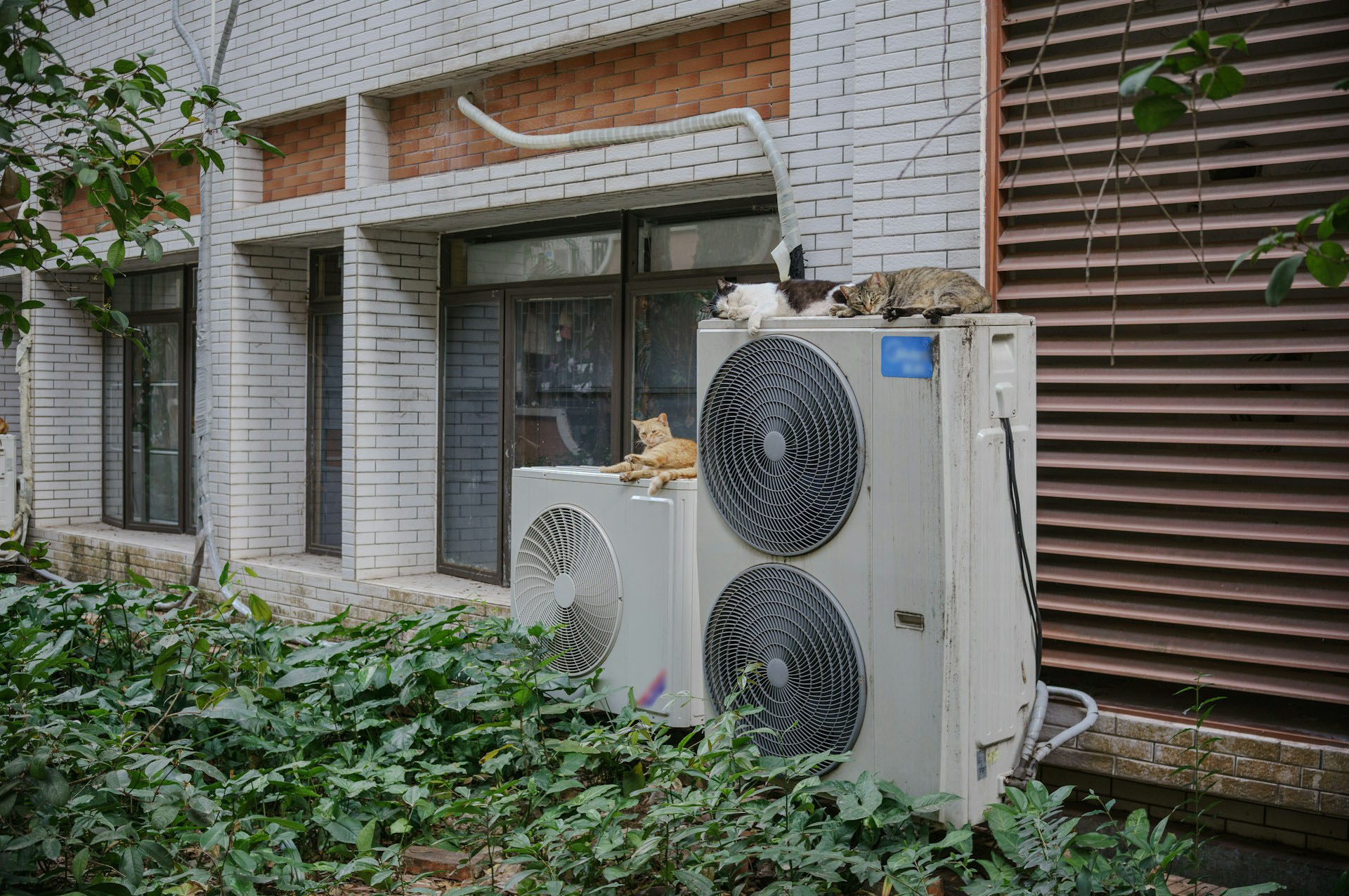 Heat pumps outside a building.