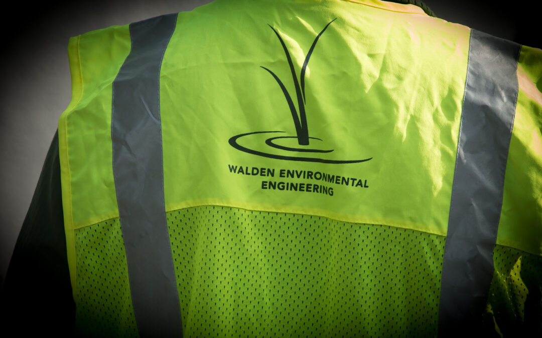 Walden Welcomes New Hires!